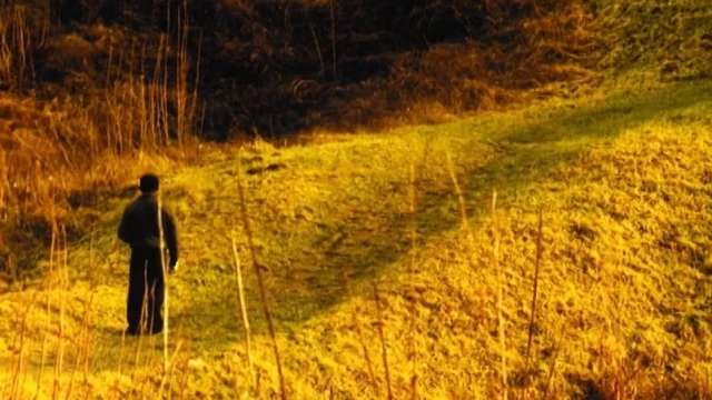 POURQUOI VIS-TU DANS CE PAYS QUI M'A TUÉ  de Hugo Mourard (Fr)
