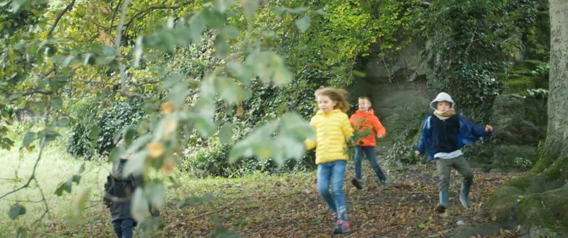 Partez à l'aventure avec la balade nature de Solidaris