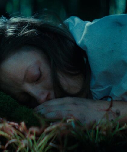 Drosera 1 1 1 1 30 1