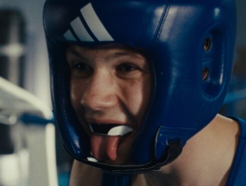 La danse des renards webcover