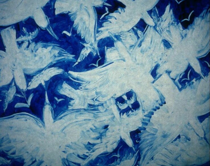 5 Les Oiseaux blancs les oiseaux noirs