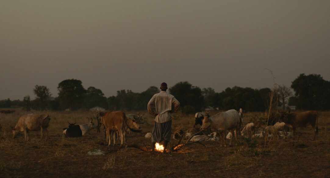 LDR stills 04 favorite 1